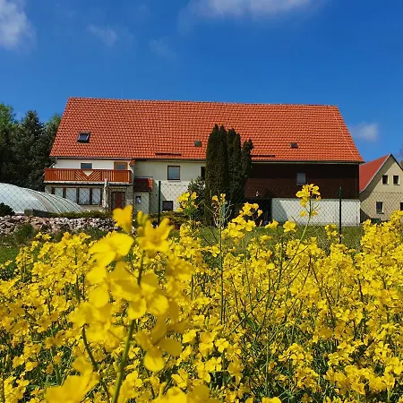 Holiday home Alte Schaeferei Bad Gottleuba-Berggiesshuebel