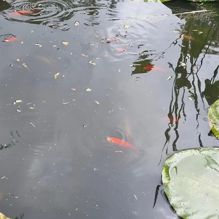 Hébergement de vacances Alte Schaeferei